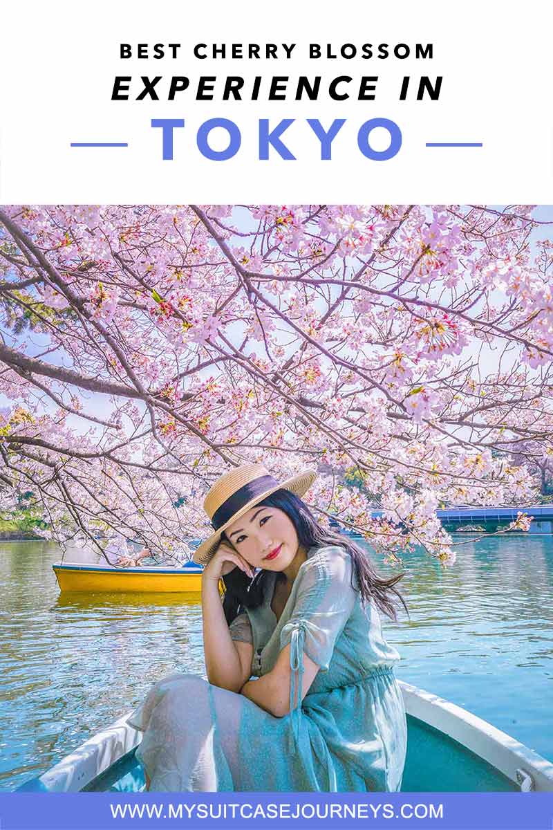 chidorigafuchi boat rental