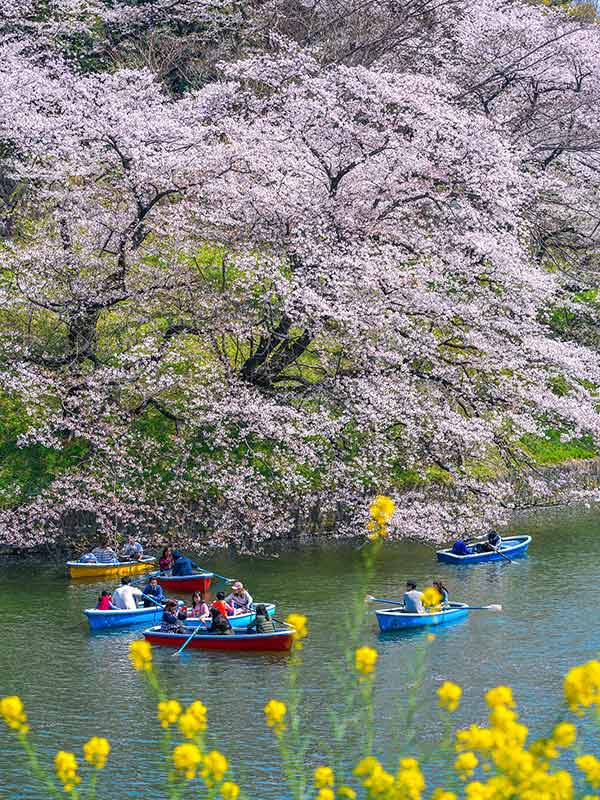 chidorigafuchi park boat rental price