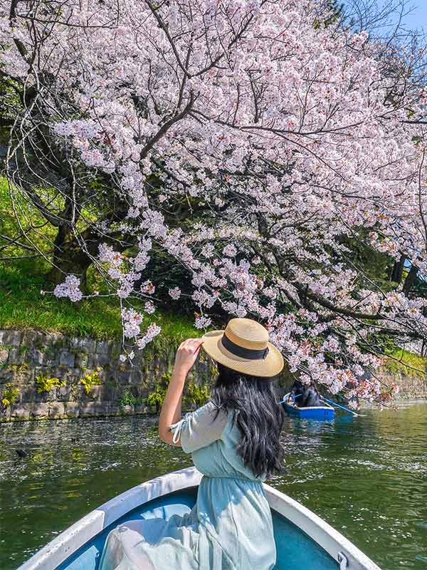 chidorigafuchi park boat rental rates