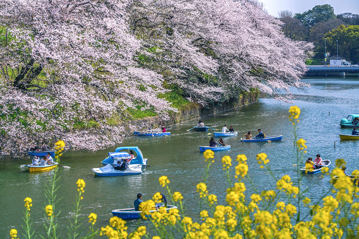 renting a boat at chidorigafuchi park