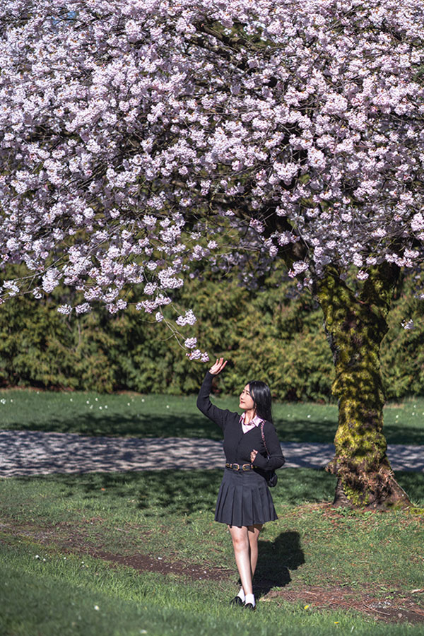 best place to see sakura in vancouver