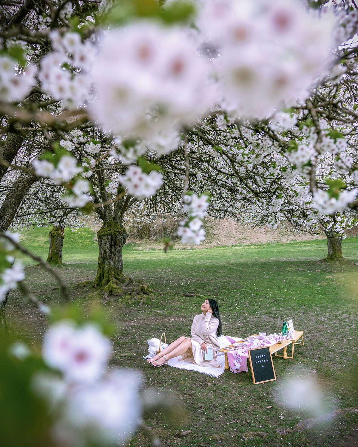 cherry blossom queen elizabeth park vancouver