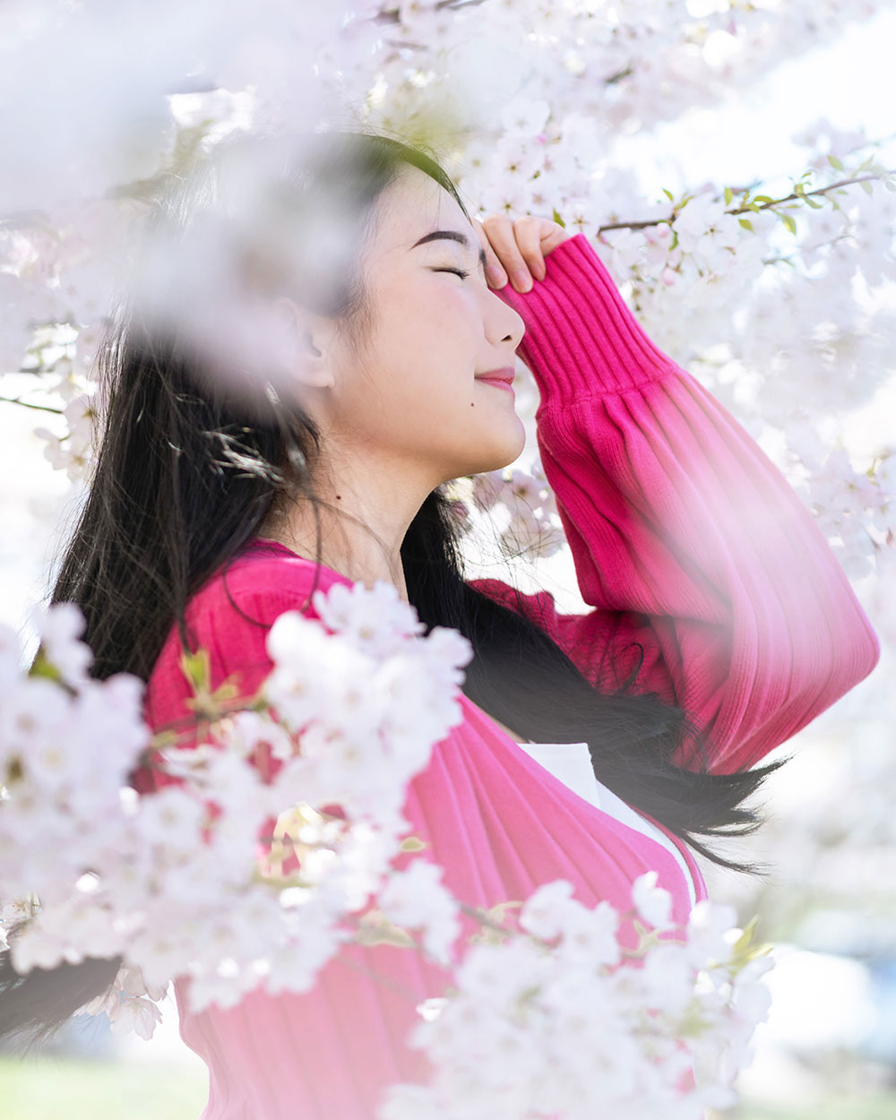 vancouver cherry blossom photos