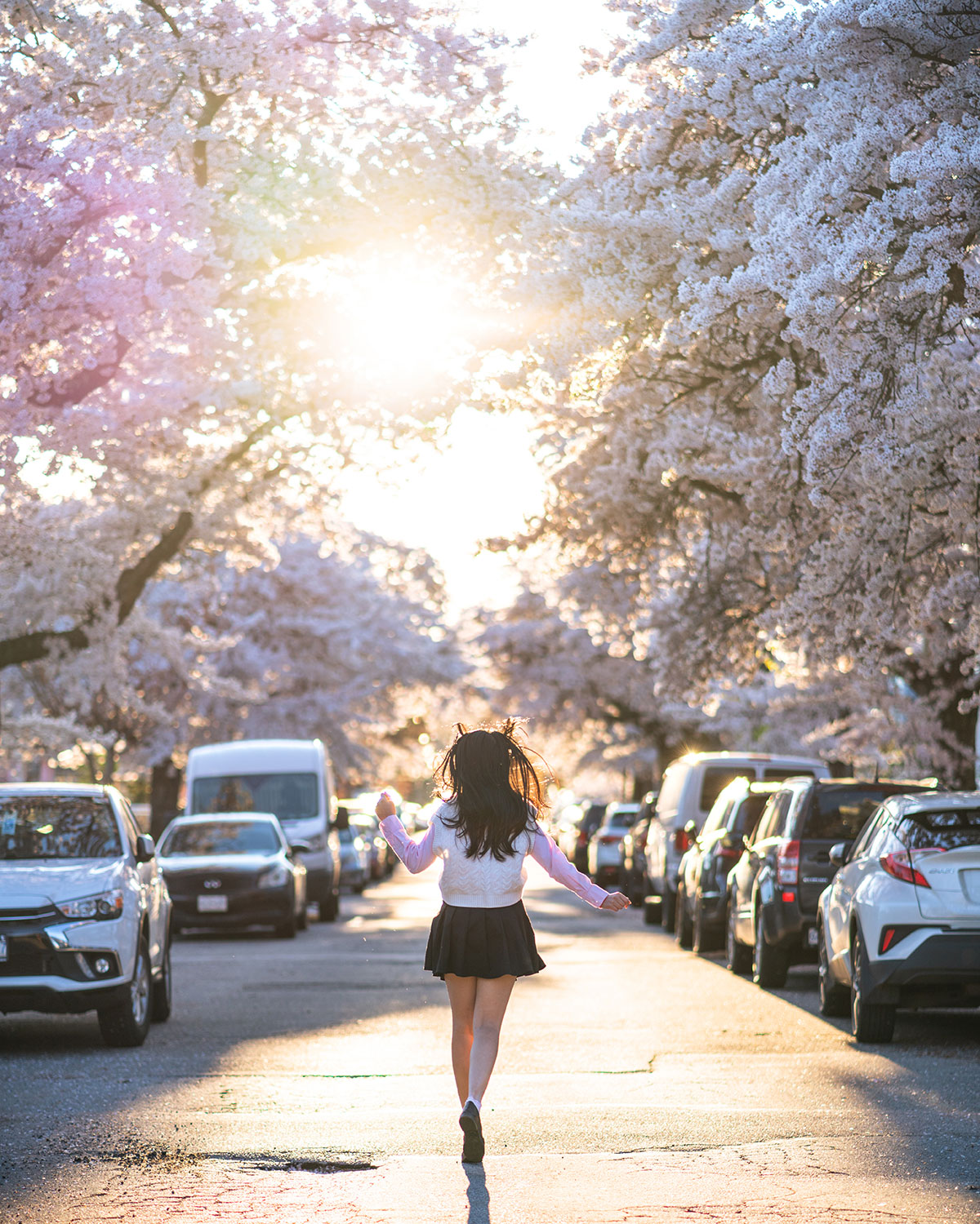 vancouver cherry blossom streets