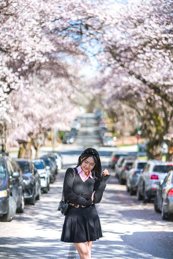 when to see cherry blossoms in vancouver