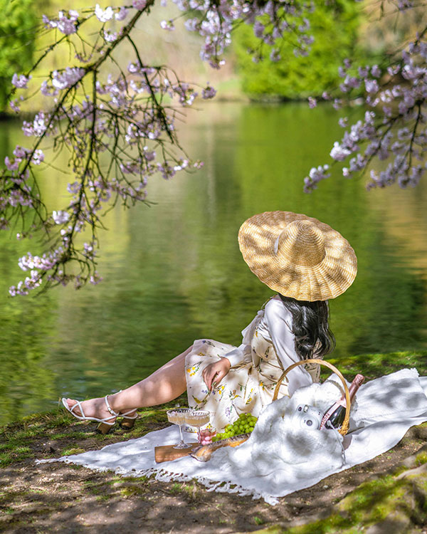 where to see cherry blossoms in vancouver reddit