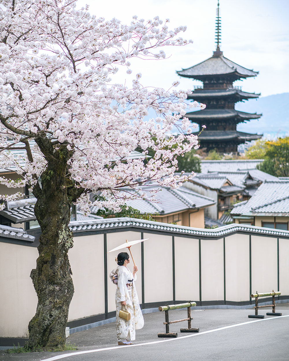 japan best time of year
