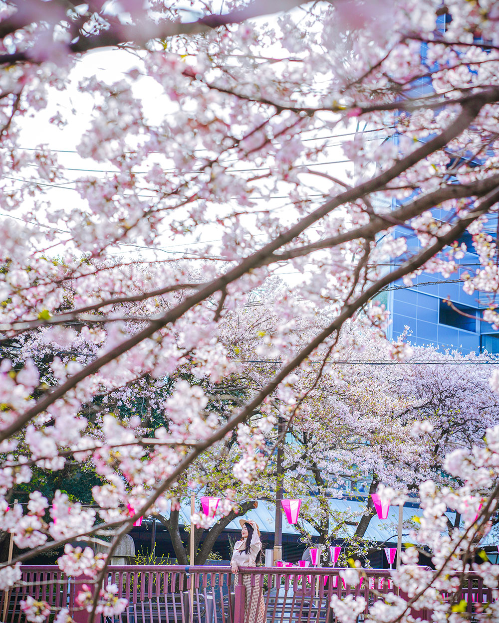 japan best time to visit weather