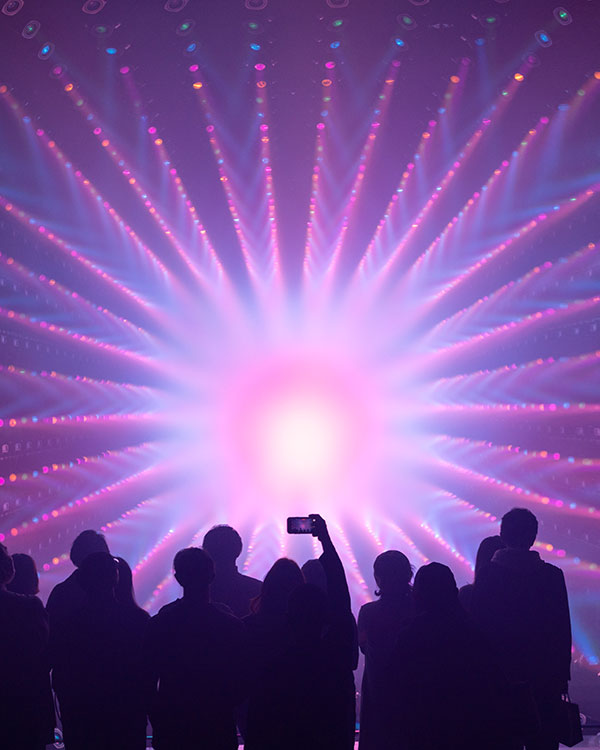 teamlab borderless tokyo