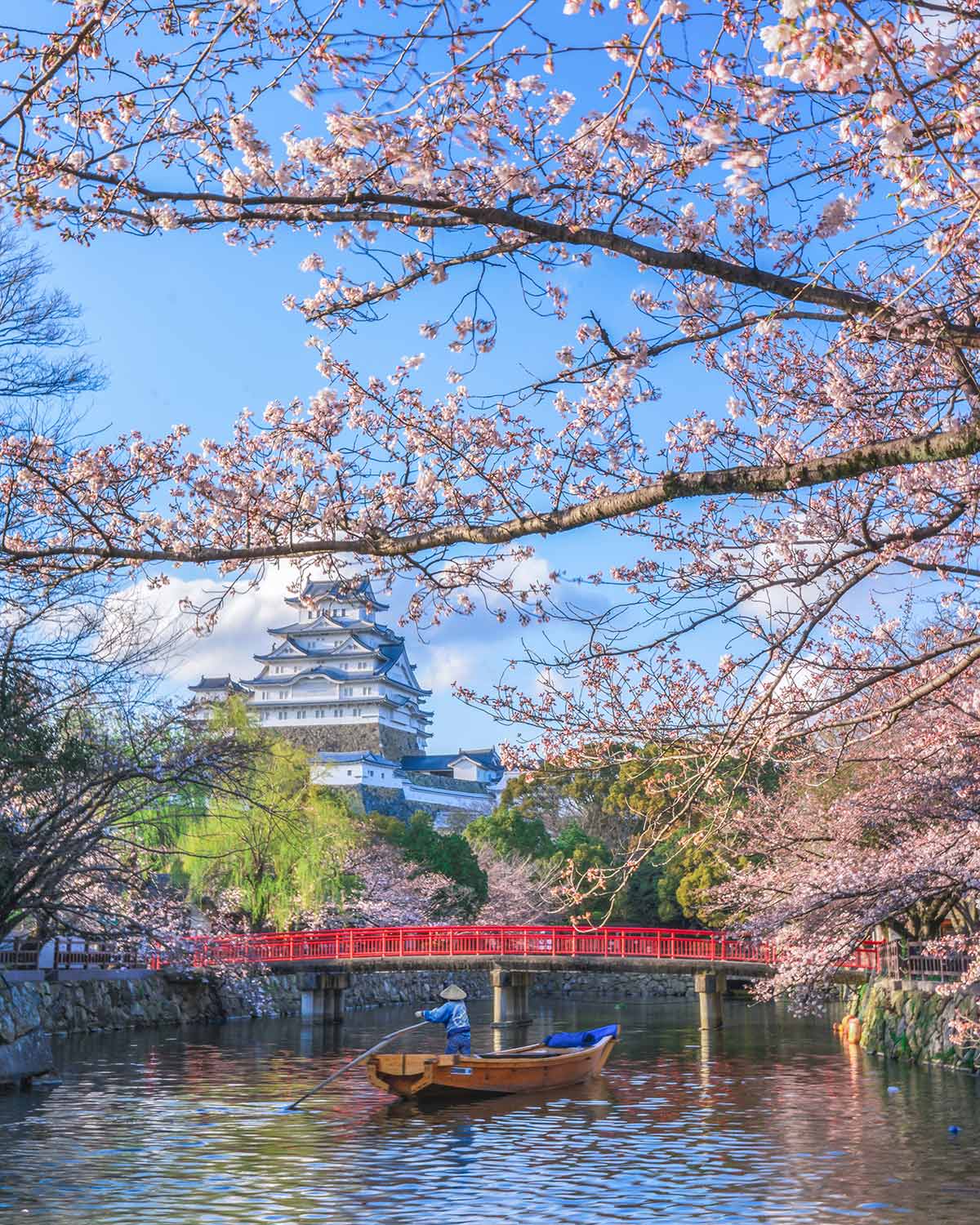 when to go to japan for cherry blossom